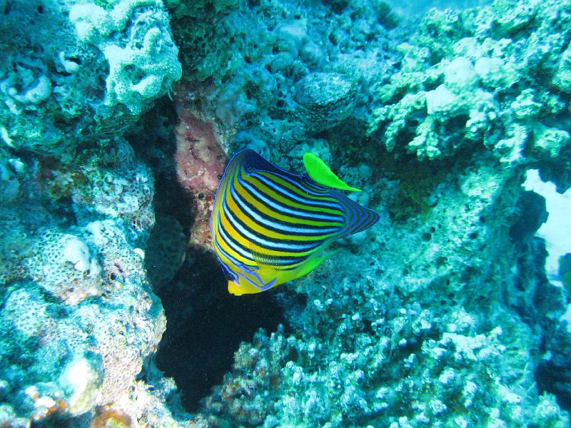 2009-12-01 14-54-23S.JPG